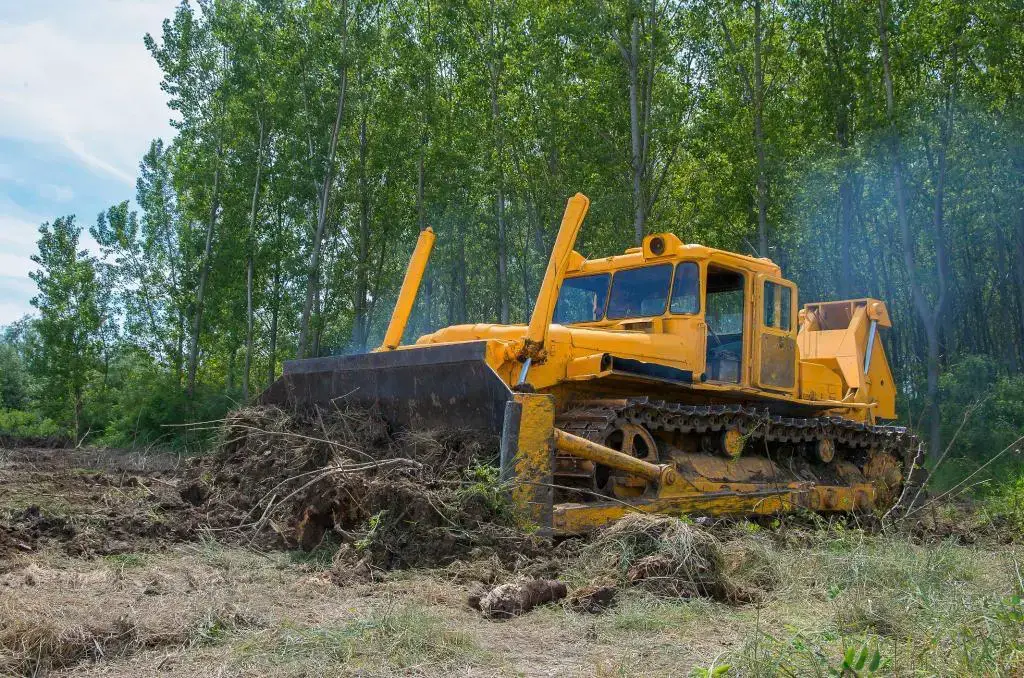 DIY Land Clearing: How to Clear Land Without Heavy Equipment