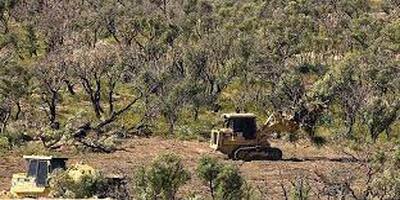 Methods of Land Clearing: Best Ways to Clear Your Property